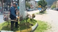 Taşova’da Yabani Otlara Karşı Temizlik Seferberliği