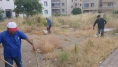 Amasya Belediyesi’nden Çevre Temizliği Çağrısı: “Temiz Şehir, Sağlıklı Gelecek”