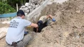 Amasya Belediyesi Geleceği İnşa Ediyor