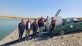 Merzifon’da 2 Gölete 200 Bin Sazan Yavrusu Bırakıldı
