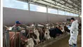 Amasya’da Güvenli Üretim Hamlesi