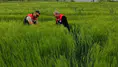Merzifon’da Hasar Tespiti Başladı