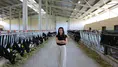 Çorumlu Genç Kadın Mimar Köyüne Süt Üretim Çiftliği Kurdu