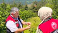 Amasya’da Fındık Bahçeleri Mercek Altında!