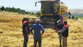 Taşova'da Dane Kayıplarına Karşı Tam Mesai