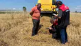 Merzifon'da Hasatta Kayıpların Önüne Geçiliyor