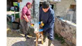 Amasya'da Hayvancılıkta Kayıt Sistemi Güçleniyor