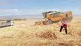 Merzifon'da Biçerdöver Denetimleri Sürüyor