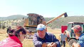 Merzifon’da Biçerdöverlere Sıkı Kontrol
