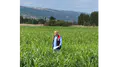 Amasya’da 460 Dekarlık Alanda Hasat Başladı