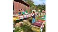 Amasya’da Arıcılara Destek Hazırlığı!