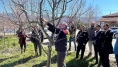 Hamamözü’nde Meyve Ağaçlarında Budama Kursu Başladı