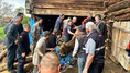 Ahır Faciası: Enkaz Altında Kalan Kadın Ağır Yaralandı
