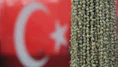 Amasya’nın ‘Sarı Altını’ Tehlikede