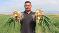 Amasya’da soğan bir bardak çaydan bile ucuz