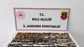 Yabani Salep Toplayanlara Rekor Ceza