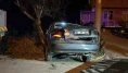 Alkollü sürücü ağaca çarptı: 2 yaralı