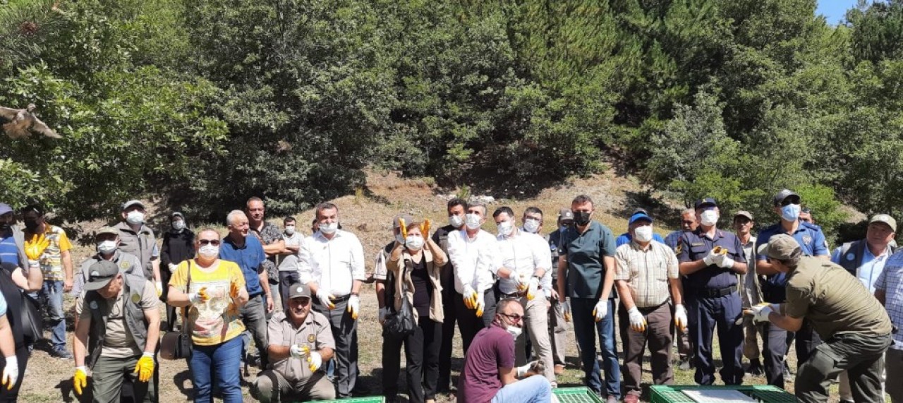 150 KINALI KEKLİK DOĞAYA BIRAKILDI
