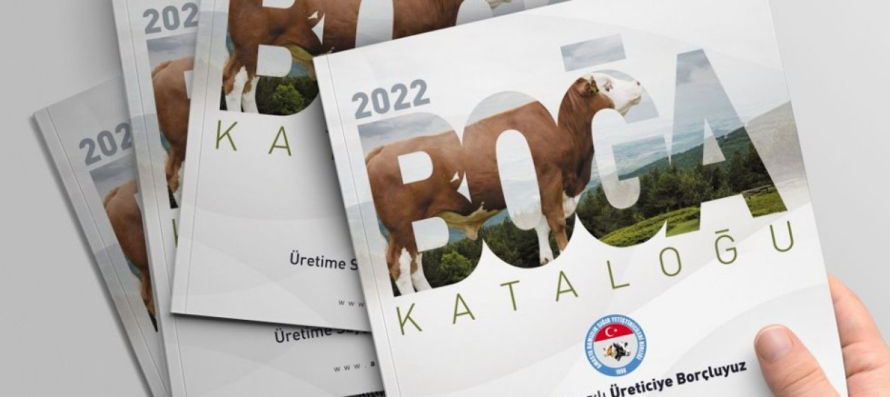 2022 YILI BOĞA KATALOĞU YAYINLANDI
