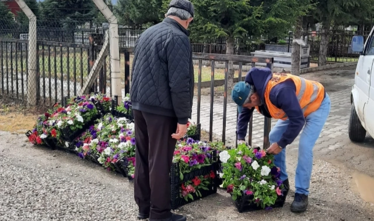GÜMÜŞHACIKÖY BELEDİYESİ ÜCRETSİZ ÇİÇEK DAĞITTI