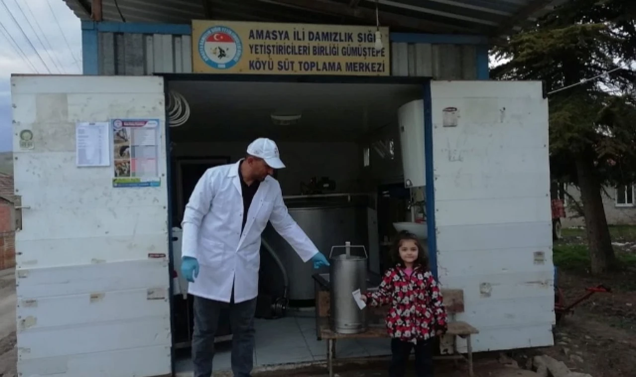 GÜMÜŞTEPE KÖYÜNDE GÜNLÜK 1500 LİTRE SÜT TOPLANIYOR