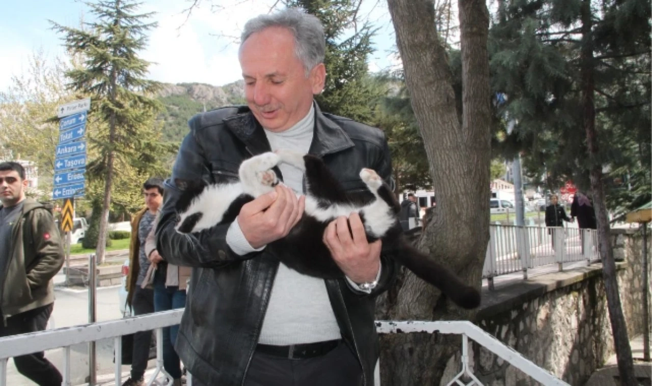KARGALARIN SALDIRDIĞI KEDİ AĞAÇTA MAHSUR KALDI