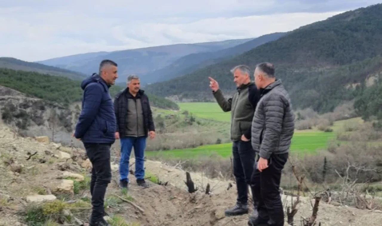 SİLVİKÜLTÜR BAKIMLAR ORMANLARA UZANAN SAĞLIKLI GELİŞİM VE YAŞAMIN ELİDİR