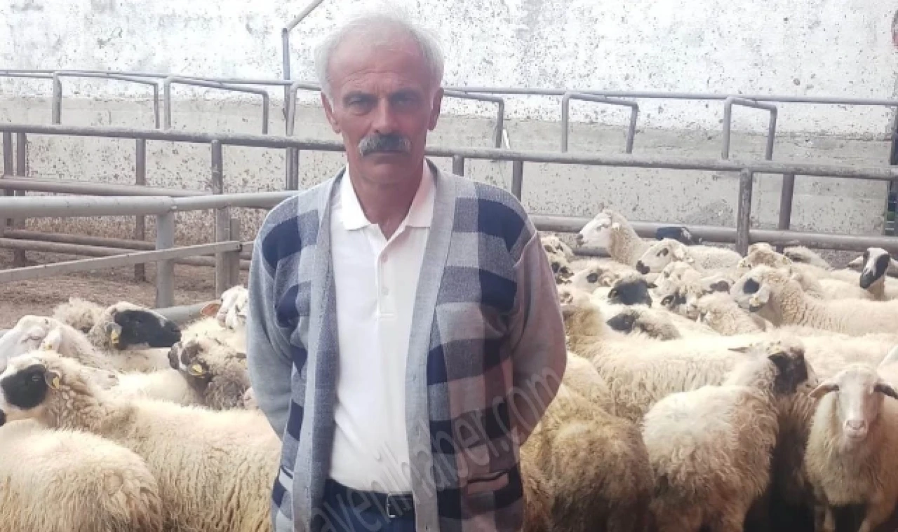 Suluova'da Duyarlı Besici Hastalanan Hayvanlarını İlçe Tarım Müdürlüğüne Teslim Etti