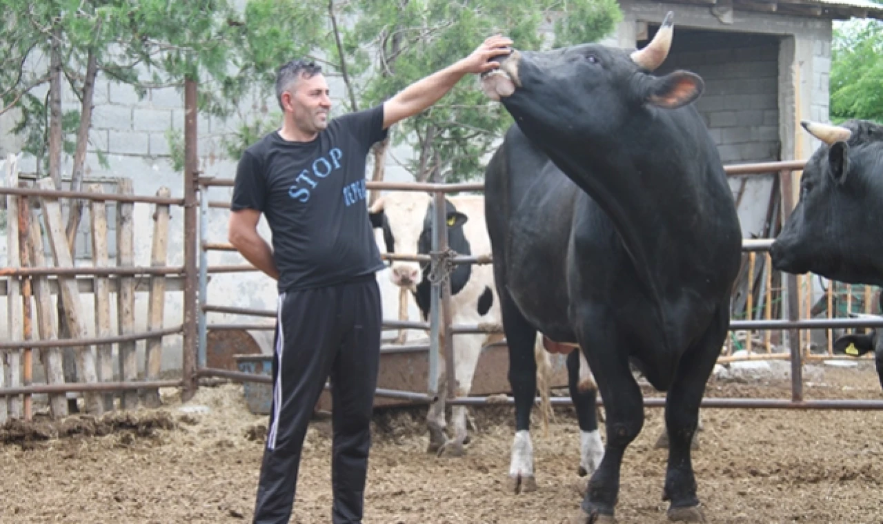 150 BİN TL’YE ALICISINI BEKLİYOR
