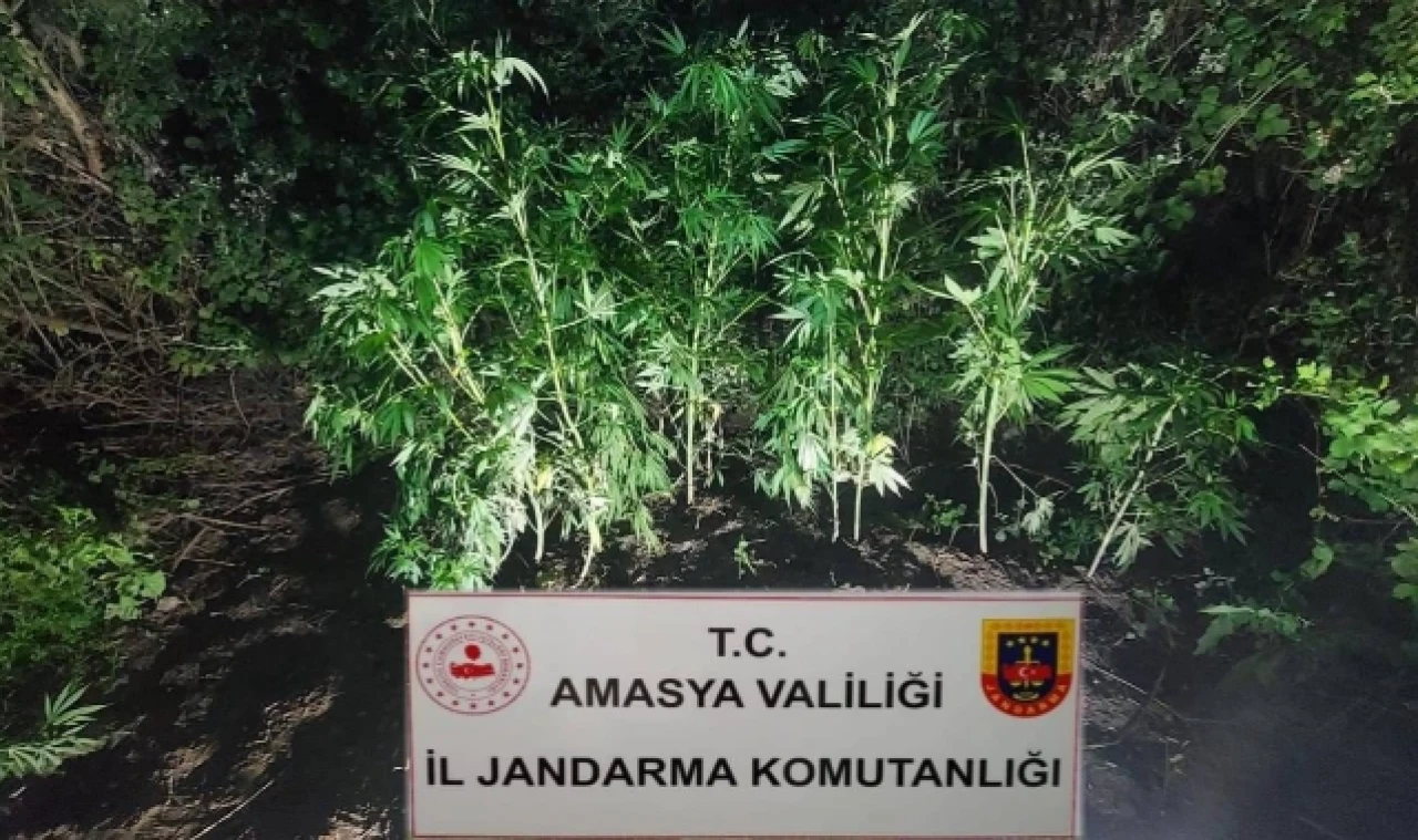 2 UYUŞTURUCU TACİRİ TUTUKLANDI