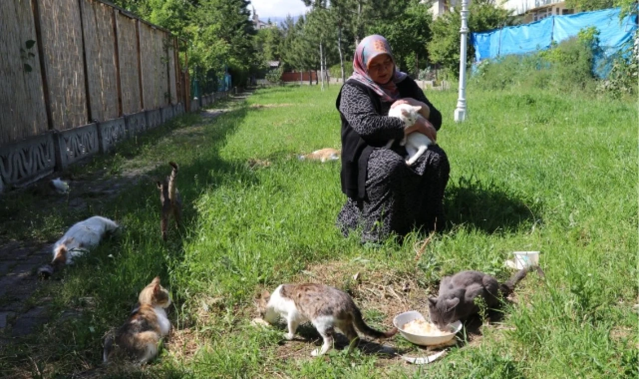 40 Kediye Evlatları Gibi Bakıyor