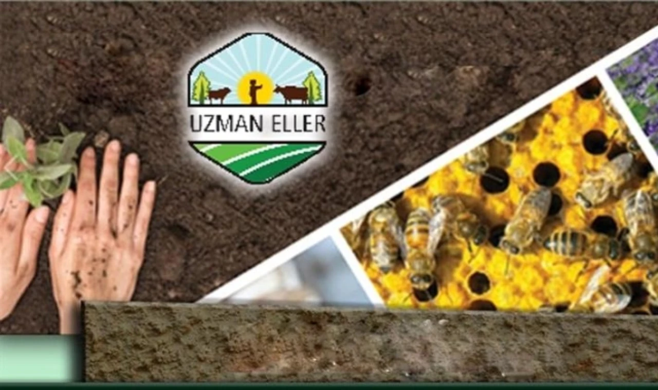 HİBE DESTEĞİ ALACAKLAR BELLİ OLDU