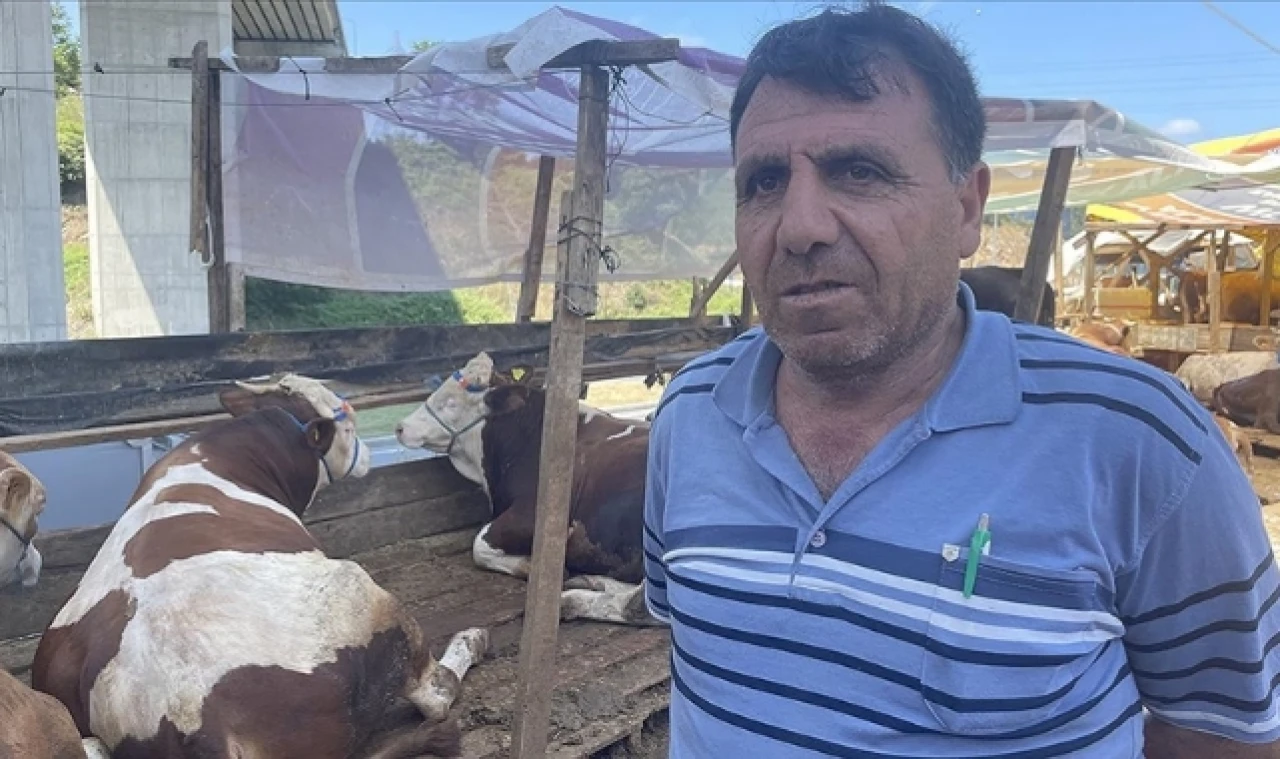 İstanbul'da kurban pazarlarında üreticiler satışlardan memnun