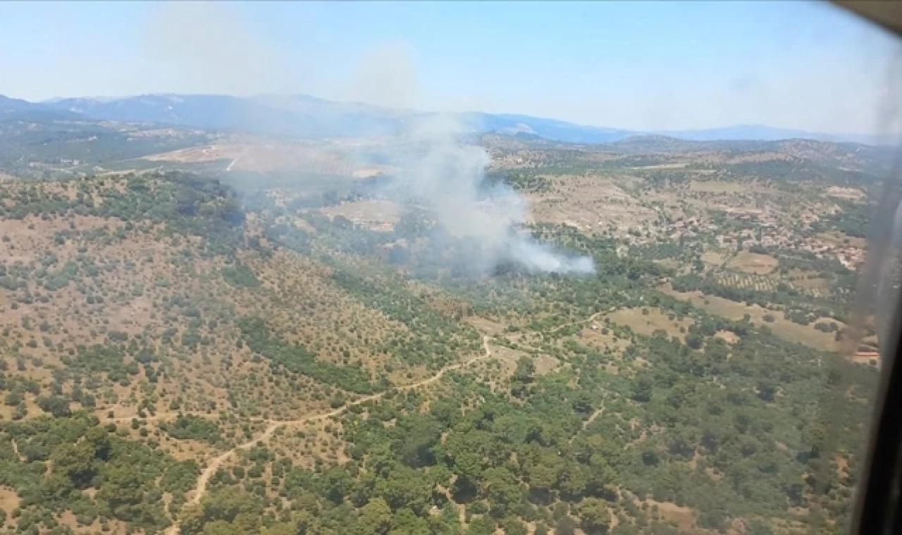 İzmir'de ormanlık alanda çıkan yangın kontrol altına alındı