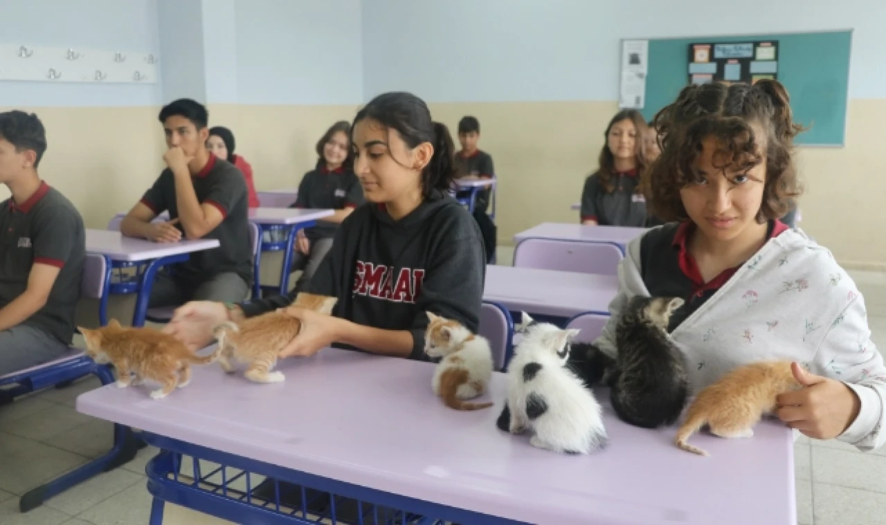 KEDİ "SÜTLAÇ" VE YAVRULARI LİSENİN YENİ ÜYELERİ OLDU