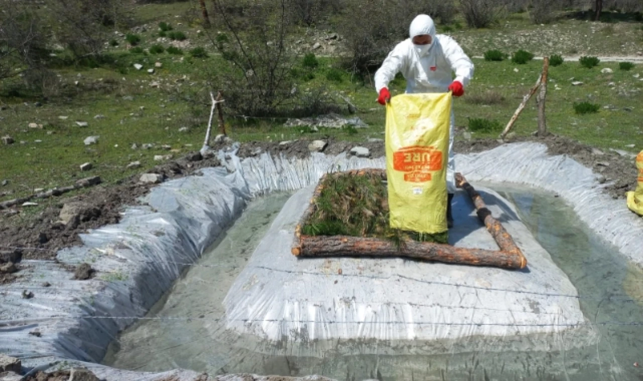 ORMAN ZARARLILARINA KARŞI MÜCADELE DEVAM EDİYOR