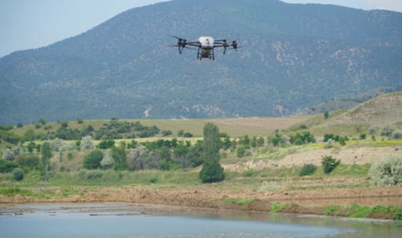 OSMANCIK'TA ÇELTİK EKİMİNDE MALİYET DRONLA DÜŞÜRÜLÜYOR