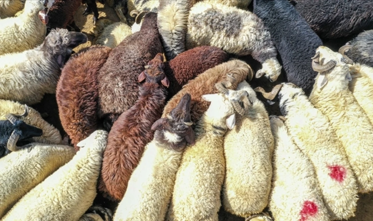 Sokakta kurban kesene para cezası uygulanacak