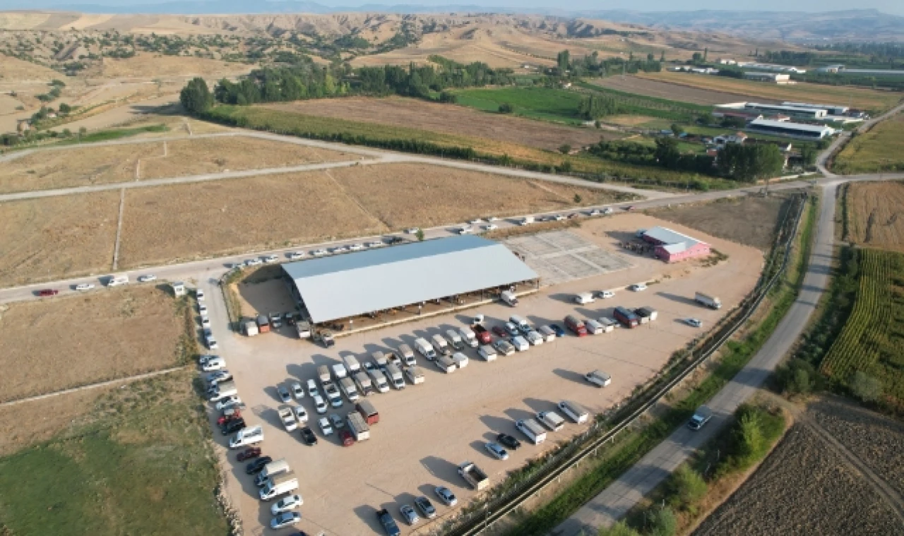 Suluova'da hayvan pazarı yeniden hizmete açılıyor
