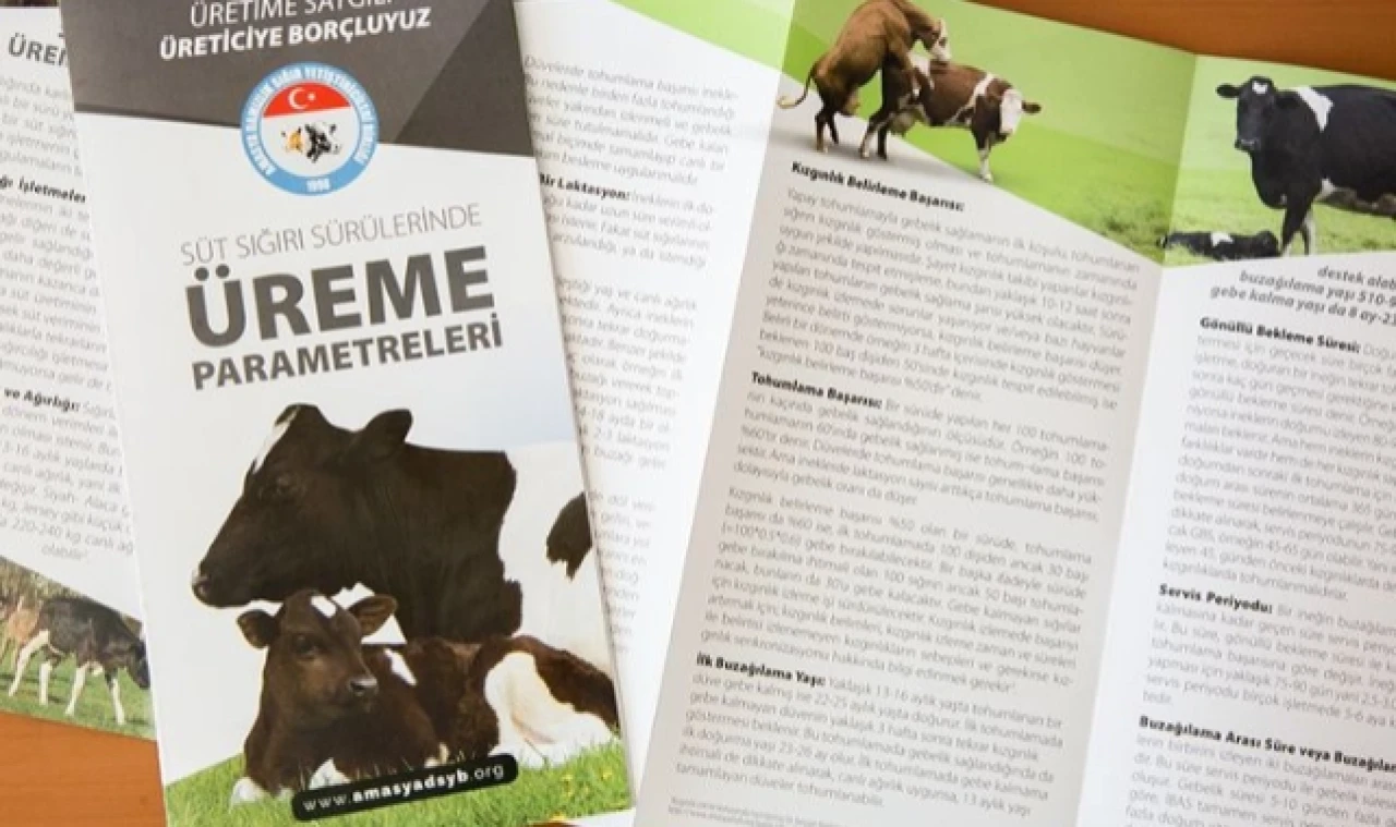 Süt Sığırı Sürülerinde Üreme Parametreleri Yayını çıktı