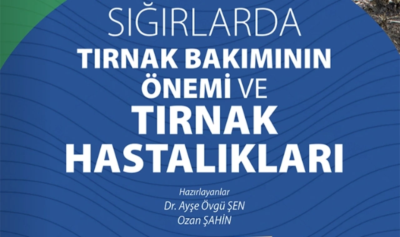 TIRNAK  HASTALIKLARI BÜLTENİ YAYIMLANDI