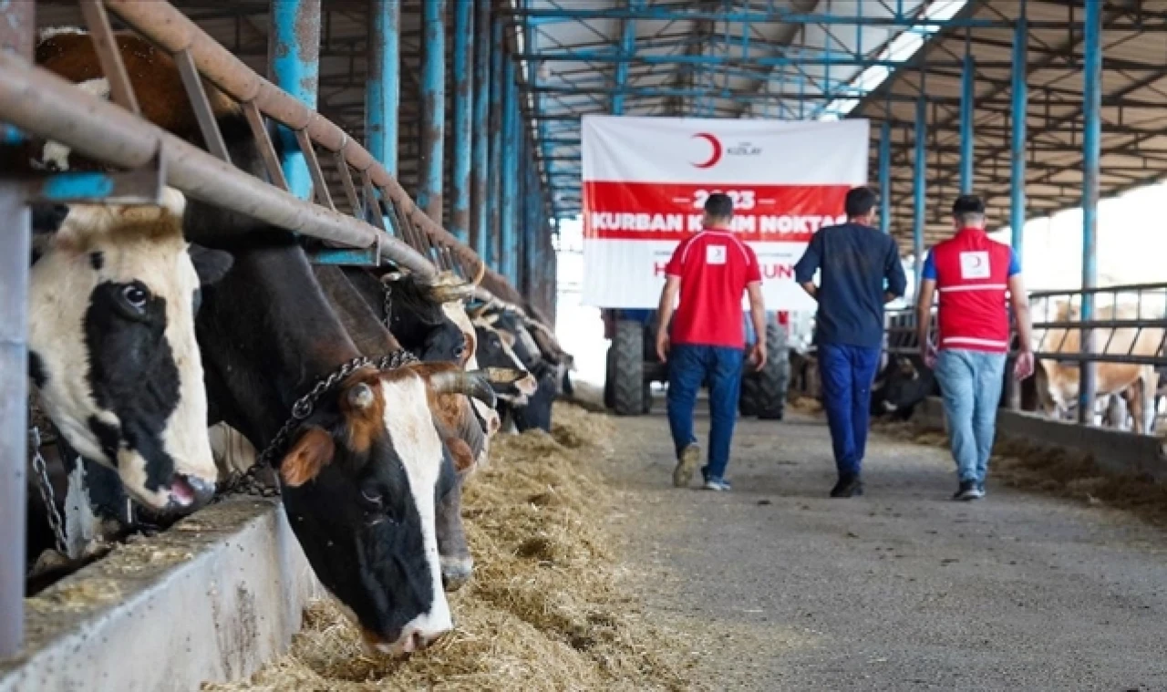 Türk Kızılay, Türkiye ve 21 ülkede kurban eti dağıtmaya başladı