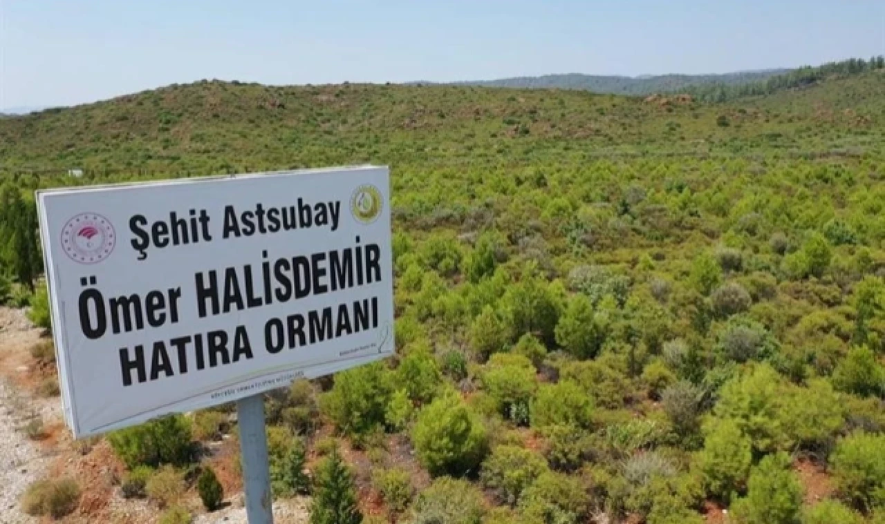 15 TEMMUZ ŞEHİTLERİNİN ANISINI YEŞİL VATAN'DA YAŞATILIYOR