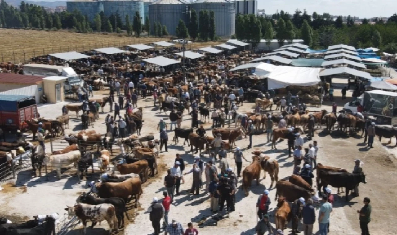 Amasya'da hayvan pazarları kapatıldı