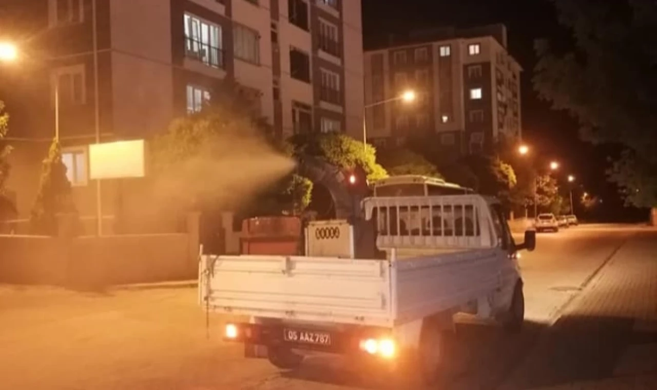 Ekipler haşerelere karşı mücadele ediyor