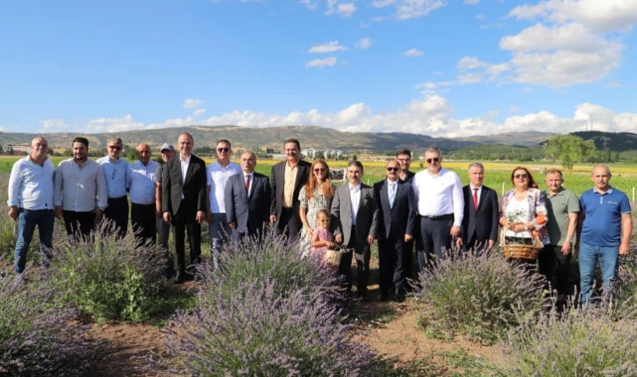 Lavanta Hasat Şenliği Gerçekleştirildi