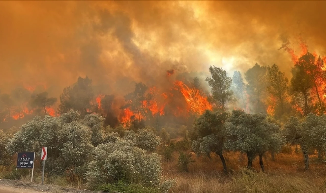Muğla'da ormanlık alanda çıkan yangına müdahale ediliyor