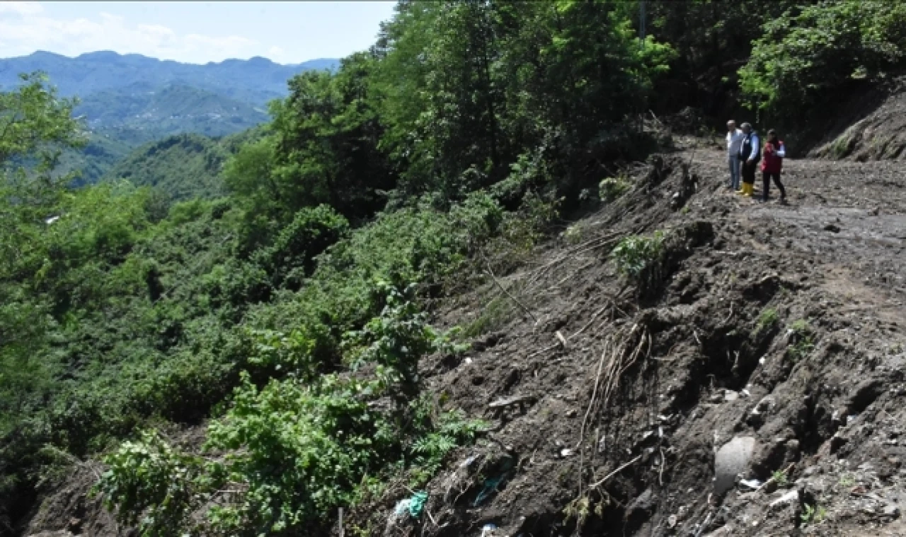Ordu'da heyelanlardan zarar gören fındık bahçelerinde hasar tespiti başladı