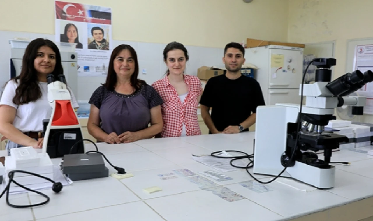 "Sarıkız" türünün tehlikeli bir tür olmadığı bildirildi