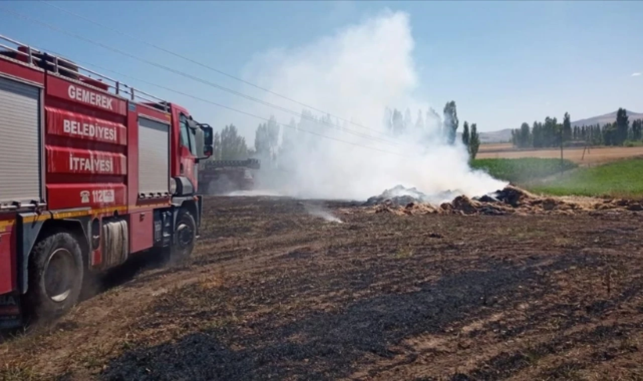 Tarla yangınında 25 dönüm ekili alan zarar gördü
